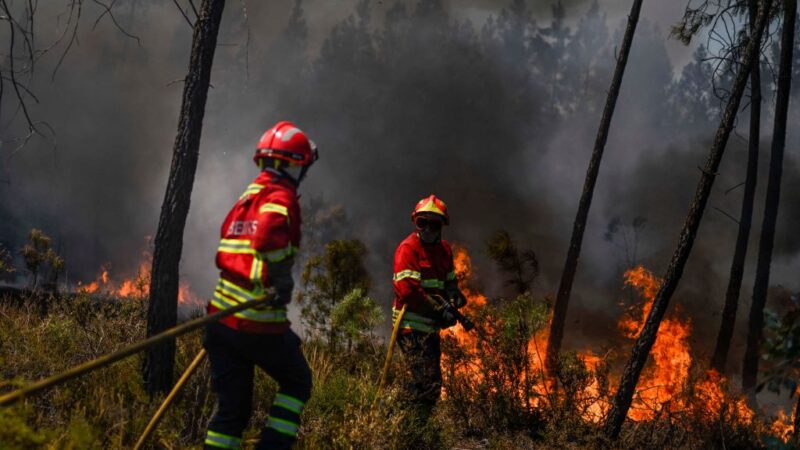 野火肆虐 烧毁葡萄牙七千公顷土地并伤及11人