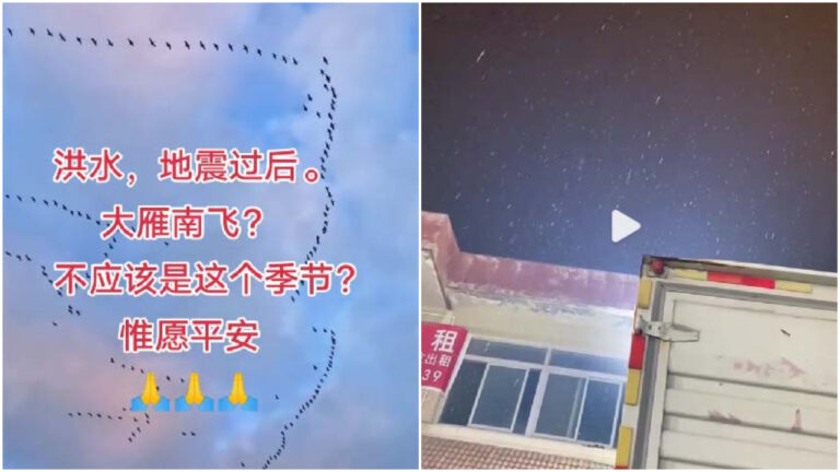 三伏天河北大雁南飛 香河縣下雪（視頻）