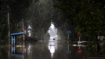 台风卡努扑向黑龙江 尚志市停工停产三天（视频）