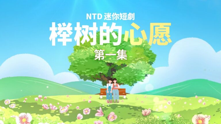 【迷你劇】櫸樹的心願（1）