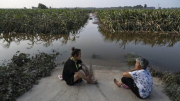 洪災後 民眾急缺消毒用品 新變種開始傳播