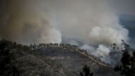 野火延燒 西班牙葡萄牙高溫恐飆破70年紀錄