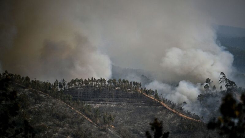 野火延燒 西班牙葡萄牙高溫恐飆破70年紀錄