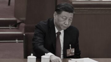 胡星斗提脱困十建议 专家：中共绝不会接受