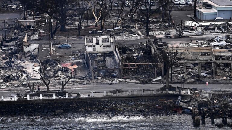 【短訊】夏威夷野火 至少36人死亡270座房屋全毀