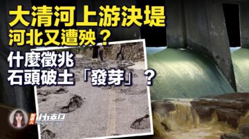 【新唐人快报】大清河上游决堤 河北又遭殃？