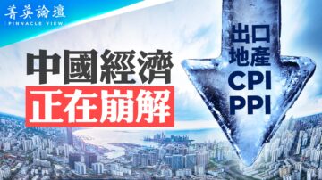 【菁英论坛】CPI和PPI双降 中国陷入衰退