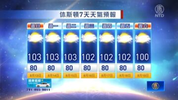 休斯顿一周天气预报（8月13日至19日）