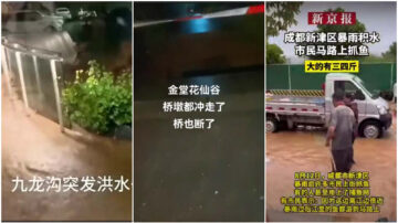 成都暴雨多地淹水 橋梁被沖斷（視頻）