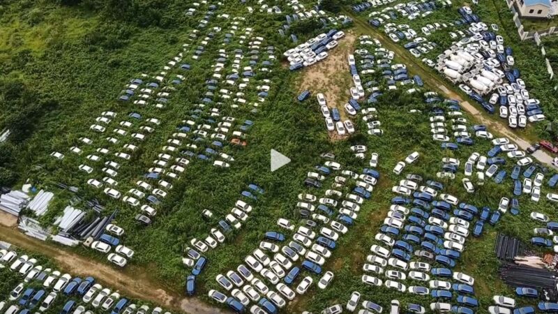 武汉市区现车冢 上千辆车被荒草埋没（视频）