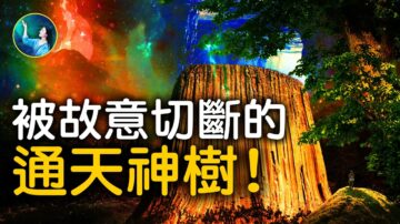 【未解之謎】絕地天通？神震怒下令廢棄《聖經》中的通天塔！