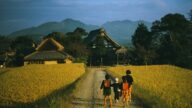 日本修改土地法 日教授：法案暗指中國人