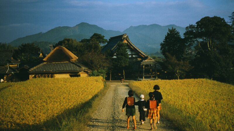 日本修改土地法 日教授：法案暗指中国人