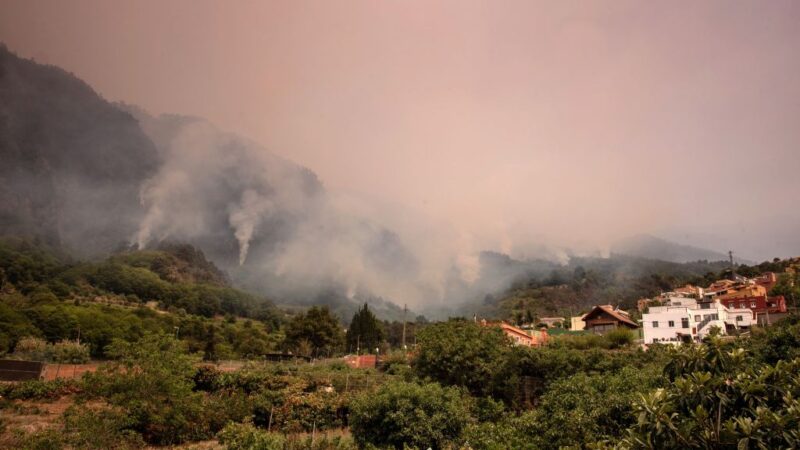 野火肆虐 西班牙田尼利夫岛逾2.6万人撤离