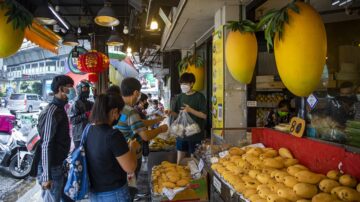 中共禁台湾芒果 农业部：日韩为主要外销市场