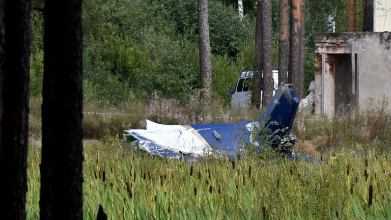 【短訊】普里戈津墜機身亡 國際反應