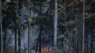 野火烧不尽 加拿大西北地方又一城镇下令撤离