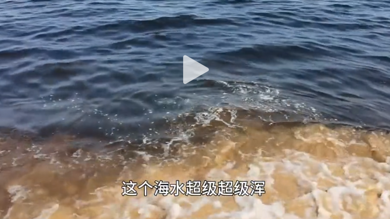 遼寧營口海域海水變黑 官方歸因海藻 外界質疑