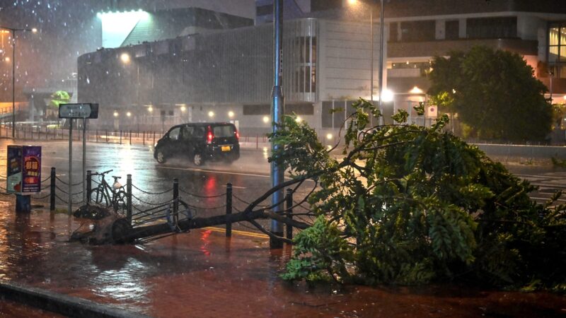 深圳颱風吹倒大樹砸中小車 司機身亡（多視頻）