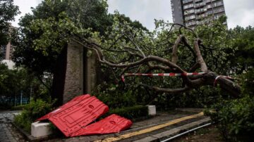 台风“苏拉”登陆  广东数地海陆空一度停运