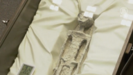【寰宇掃描】外星人曝光？ 墨西哥國會展示2具千年前遺骸