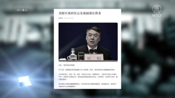 【禁闻】公安部也出事? 习心腹王小洪副手突被免