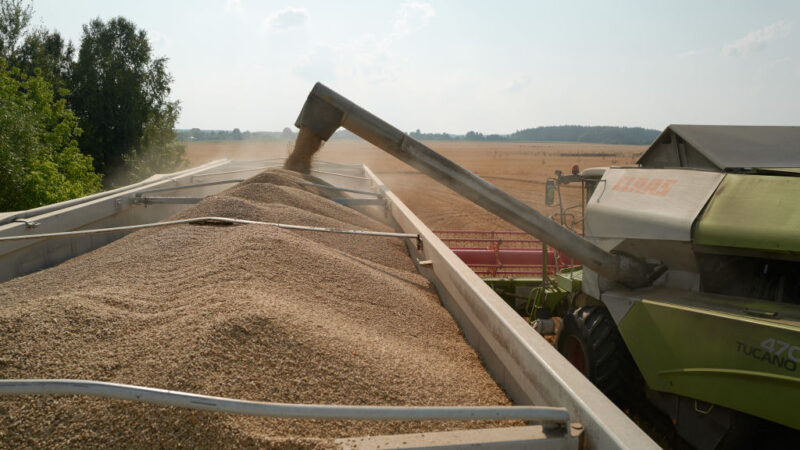 欧盟解禁乌克兰谷物进口禁令 波兰等3国坚持续行