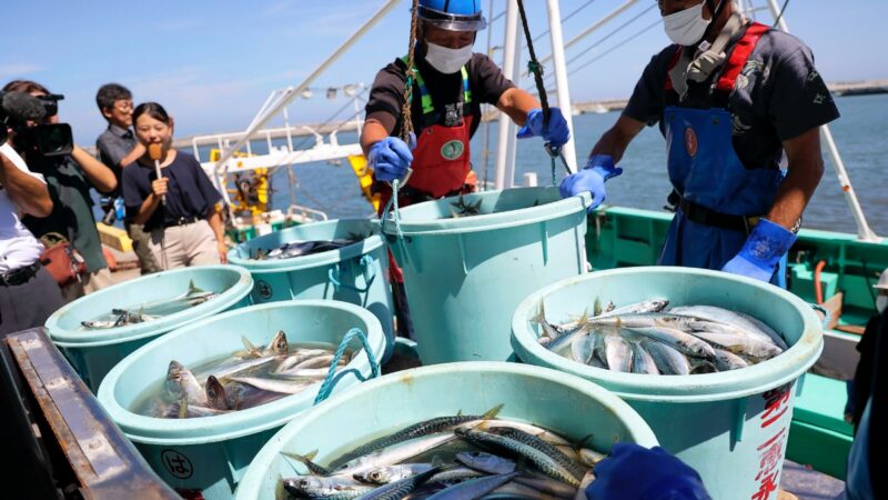 中共禁日本海產品 日本評論家：為了轉移民怨