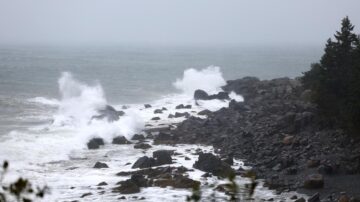 “李”减弱为后热带气旋 登陆加东海岸