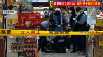 日本男高中生持利刃砍人 新潟購物中心3人受傷