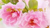 河北法轮功学员恭祝李洪志大师中秋好(19条)