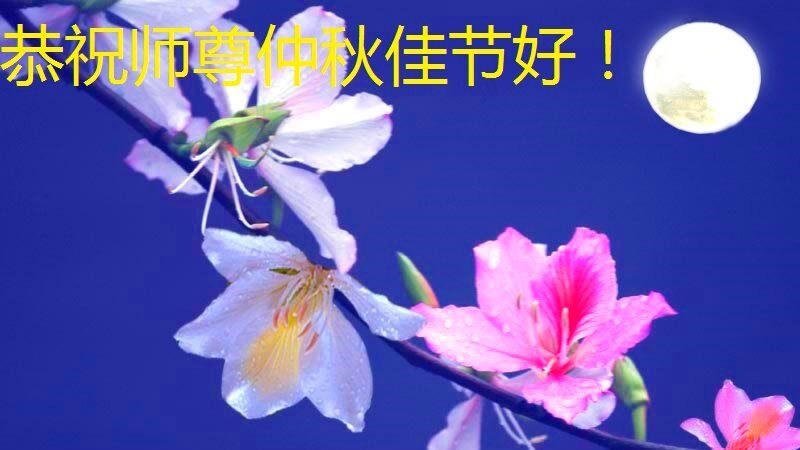 北京法轮功学员恭祝李洪志大师中秋好(26条)