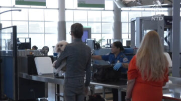 机场提醒：动物不可放入X光安检