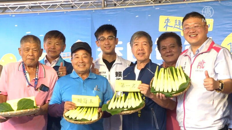 台湾龙潭三坑茭白笋节7日新鲜上市