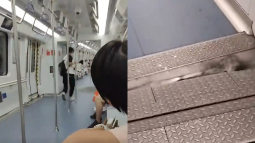 深圳地鐵車廂現不明劇烈抖動 乘客從隧道撤離