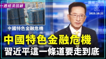 一週經濟回顧：中國特色金融危機