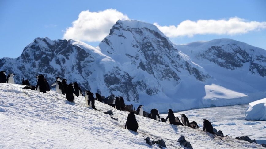 南極冰層深處驚現不為人所知遠古景觀