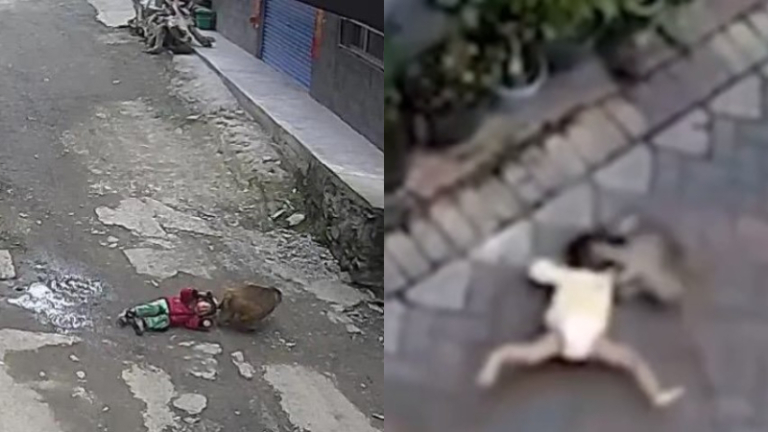 貴州3歲女童被猴子抓走 在懸崖邊被找到