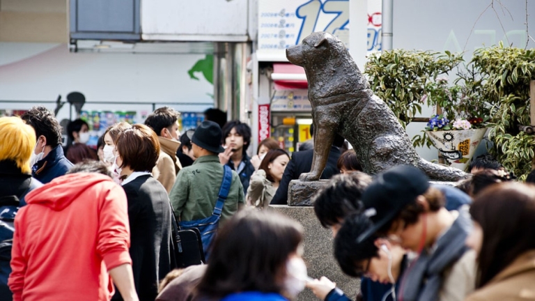 萬聖夜將登場 日本東京澀谷罕見封鎖八公像周邊