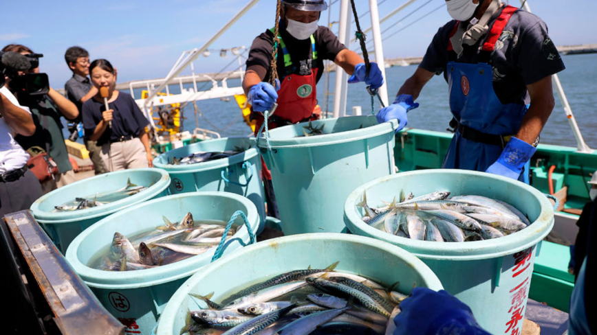 應對中共禁令 美軍大量購買日本海鮮