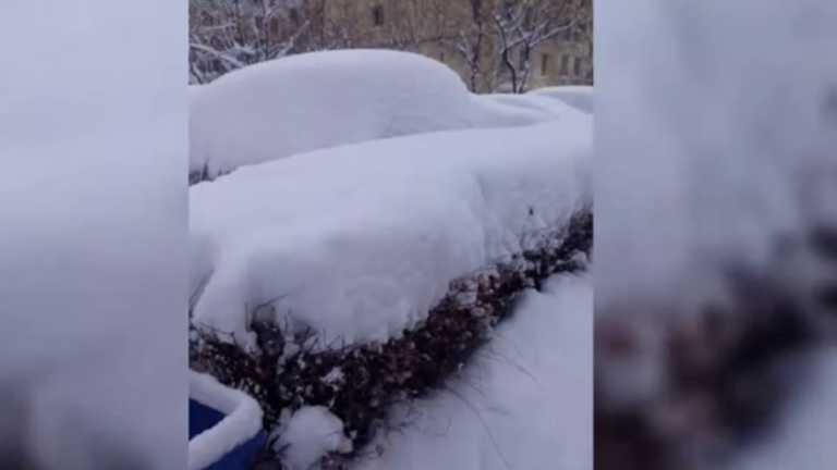 中國多省遭遇暴風雪 多市停課 交通停運