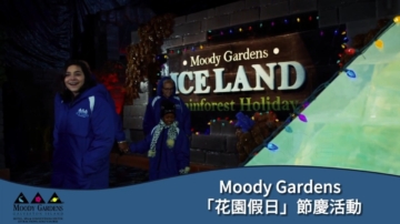 【广告】MoodyGardens 花园假日