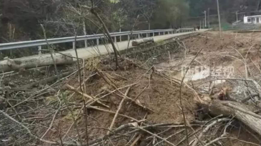 陕西强砍3万棵树不赔偿 村民：政府曾发许可证