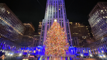 【纽约聚焦】纽约中央车站假日市集开幕 圣诞树抵达洛克斐勒中心