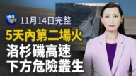 【今日加州】11月14日完整版