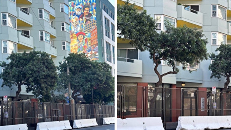 舊金山APEC峰會 海外多團體抗議中共