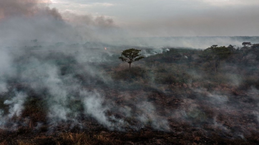 巴西大沼泽躲不过森林火灾 2023年百万公顷被烧毁