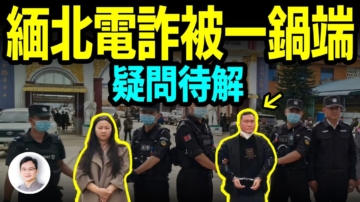 【文昭思绪飞扬】缅北果敢电诈被一网打尽，背后到底发生了什么？