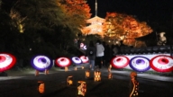 奈良岡寺首辦夜燈活動 和傘秋楓夢幻合演