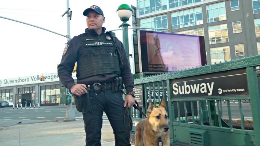 纽约市警提升警犬技能 配合维护假日季治安